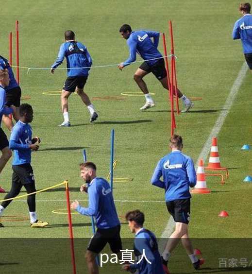了解pa真人